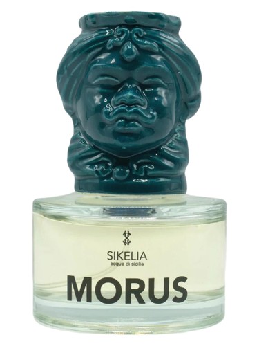 Morus by Sikelia