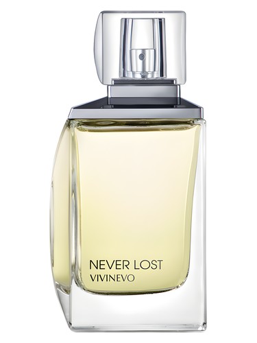 Never Lost by Vivinevo
