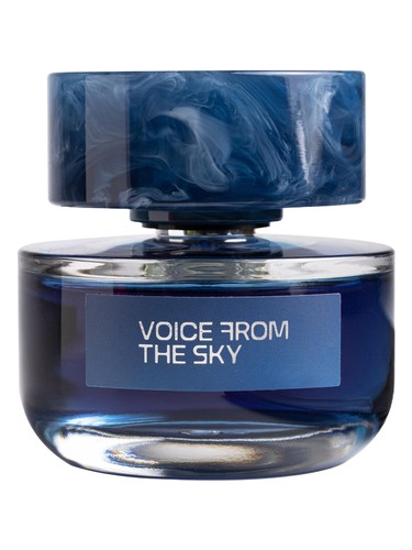 Voice From The Sky by Voice From The Sky