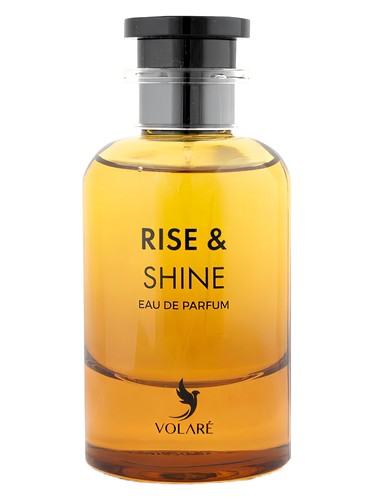 Rise & Shine by Volaré