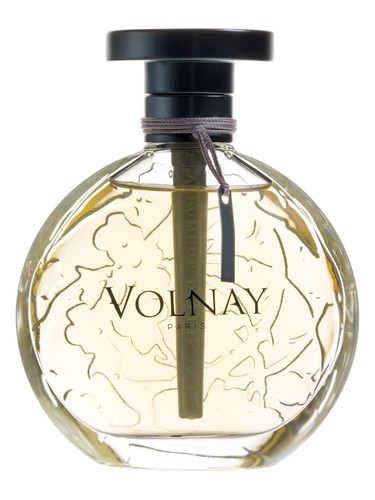 Ambre de Siam by Volnay