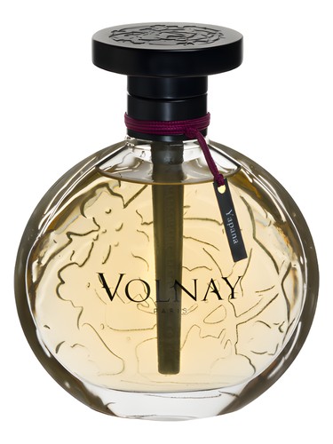 Yapana by Volnay