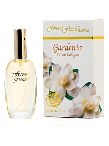Gardenia by Forever Florals Hawaii