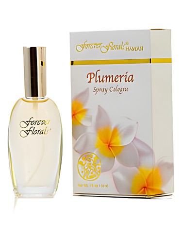 Plumeria by Forever Florals Hawaii