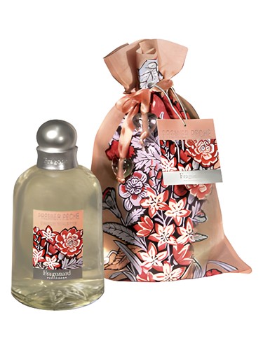 Premier Peche by Fragonard