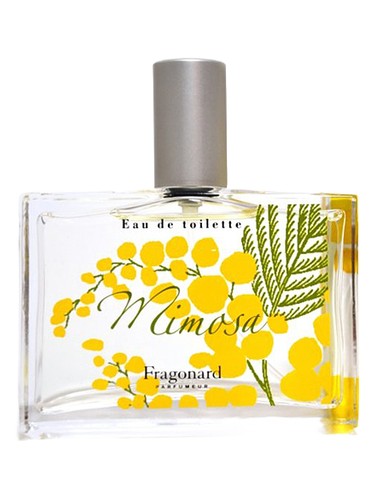 Mimosa by Fragonard