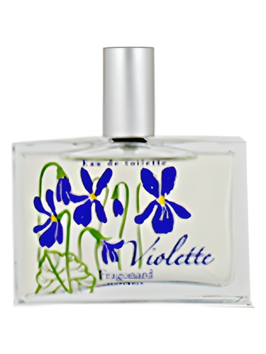 Violette by Fragonard