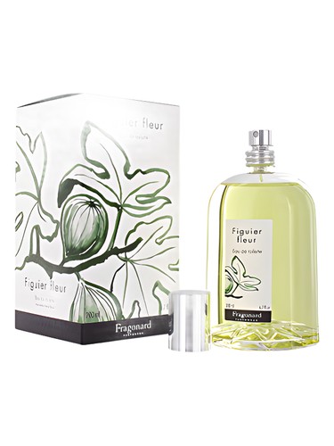 Les Naturelles: Figuier fleur by Fragonard