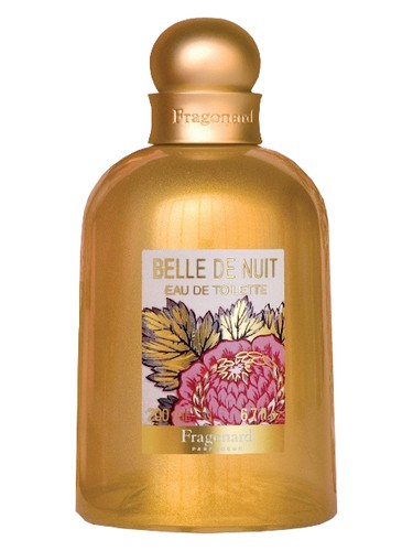 Belle de Nuit by Fragonard