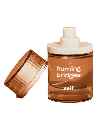 Burning Bridges by Snif