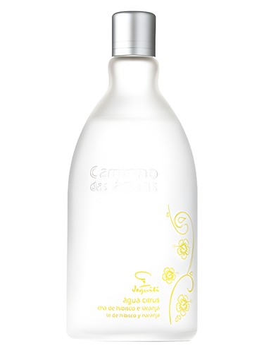 Água Citrus Chá de Hibisco e Laranja by Jequiti