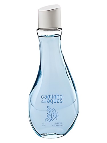 Lavanda dos Sonhos by Jequiti