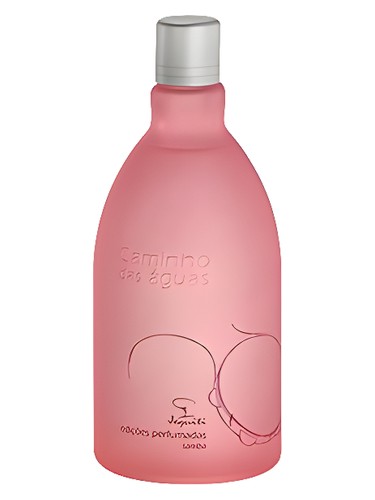 Edições Perfumadas Samba by Jequiti