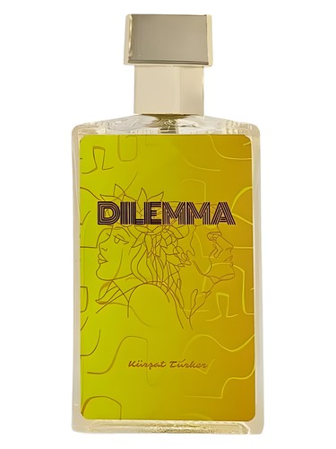 Dilemma by Kürşat Türker