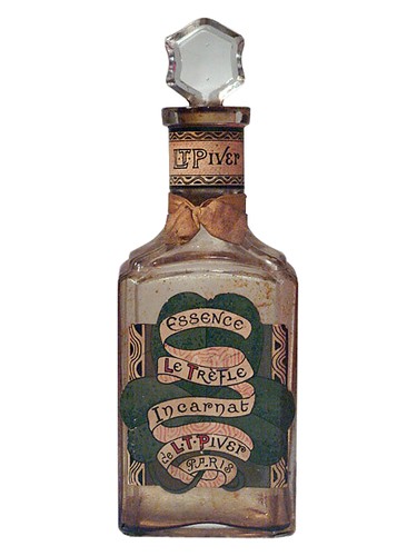 Trèfle Incarnat by L.T. Piver