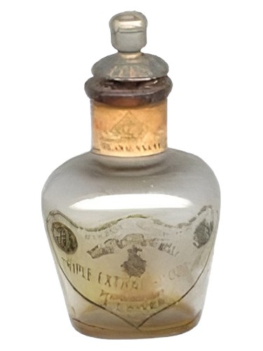 Ylang-Ylang by L.T. Piver
