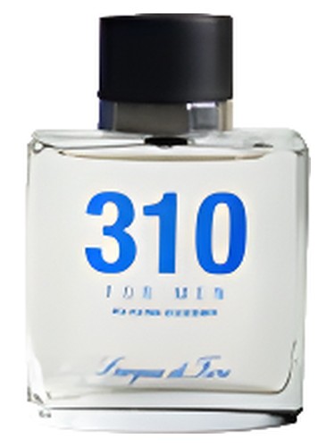 310 For Men by L'acqua di Fiori