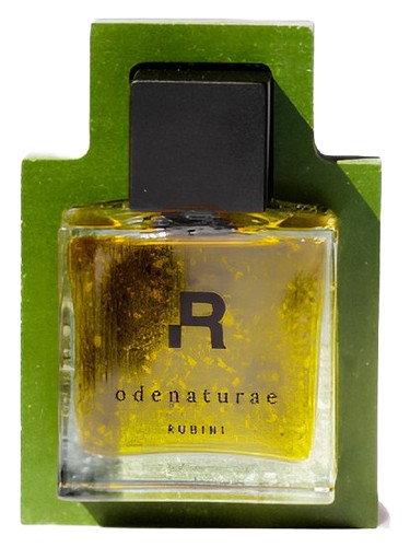 Odenaturae by Rubini