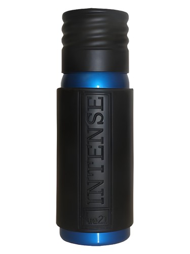 Intense by Rue21