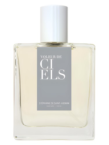 Voleur de Ciels by Stephanie de Saint-Aignan