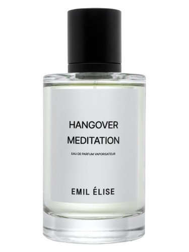 Hangover Meditation by Emil Elise