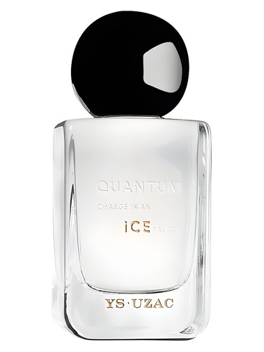 Quantum Charge In An Ice Palace by Ys-Uzac