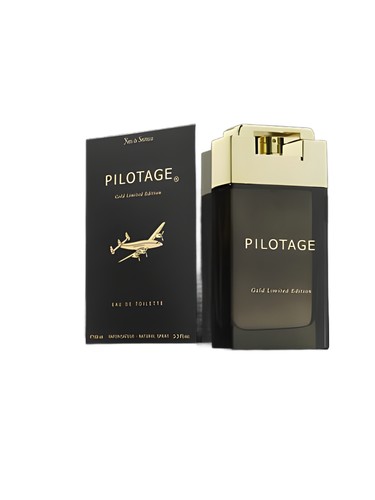 Pilotage by Yves de Sistelle