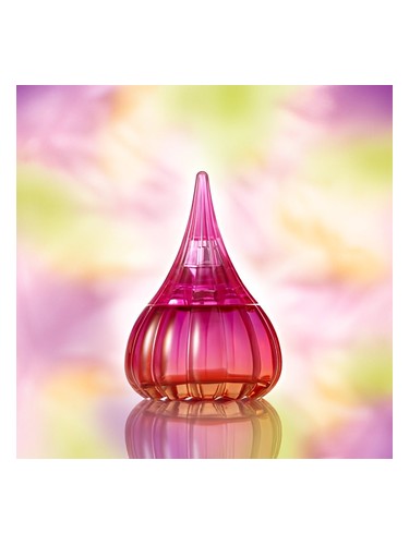 Sheyda Rose by Yves de Sistelle