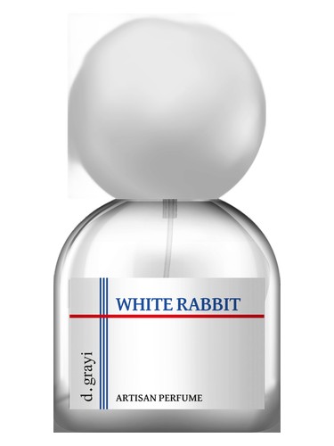 White Rabbit by d.grayi