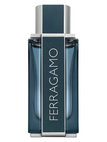 Ferragamo Intense Leather by Salvatore Ferragamo