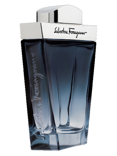 Subtil Pour Homme by Salvatore Ferragamo