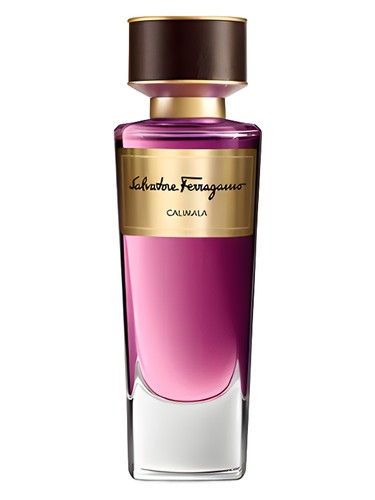 Calimala by Salvatore Ferragamo