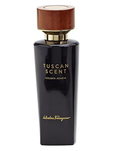 Golden Acacia by Salvatore Ferragamo
