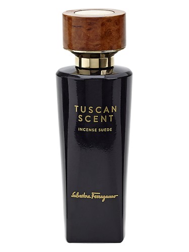 Incense Suede by Salvatore Ferragamo