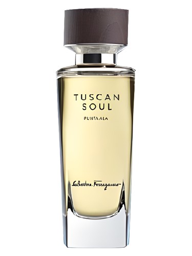 Punta Ala (2014) by Salvatore Ferragamo