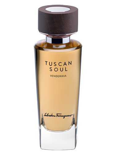 Vendemmia (2013) by Salvatore Ferragamo