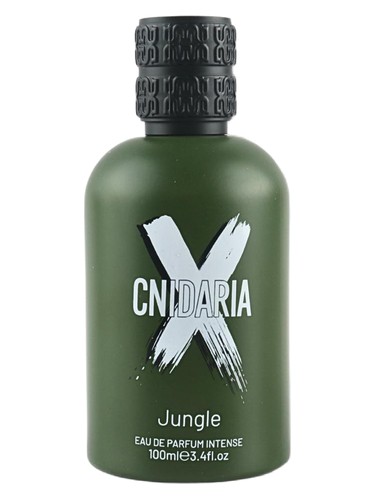 Cnidaria Jungle by Samam