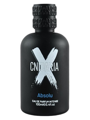 Cnidaria X Absolu by Samam