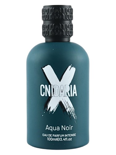 Cnidaria X Agua Noir by Samam