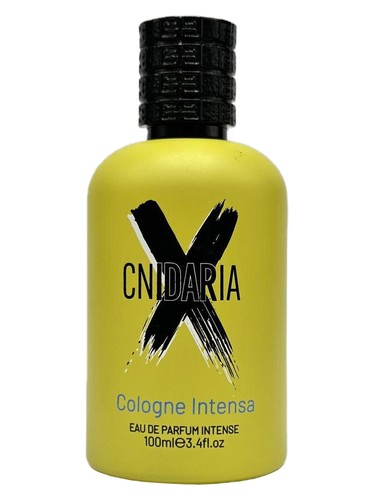Cnidaria X Cologne Intense by Samam