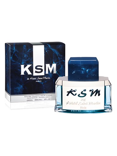 KSM by Kristel Saint Martin