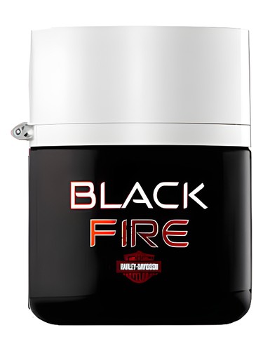 Black Fire by Harley Davidson