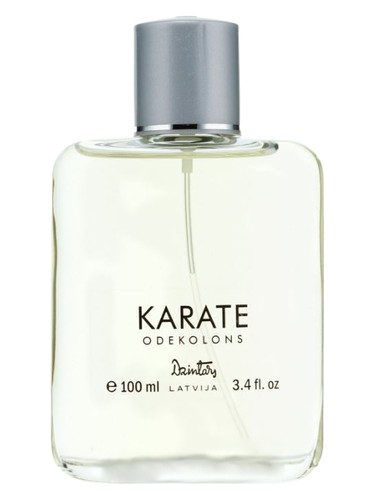 Karate by Dzintars