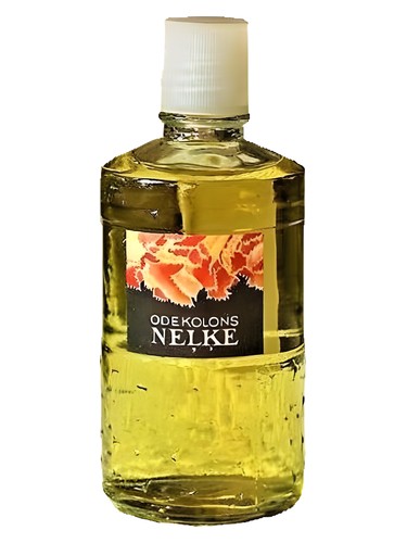 Neļķe (Гвоздика) by Dzintars