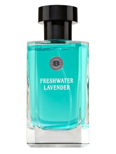 Freshwater Lavender by C.O.Bigelow