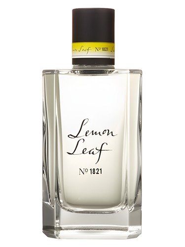 Lemon Leaf No.1821 by C.O.Bigelow