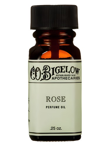Rose by C.O.Bigelow