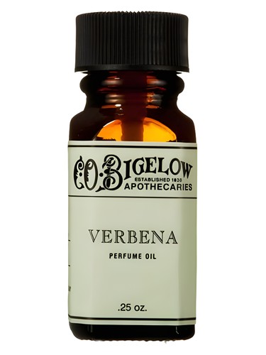 Verbena by C.O.Bigelow