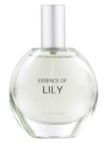 Essence of Lily by C&A