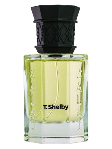 T. Shelby by Calaj